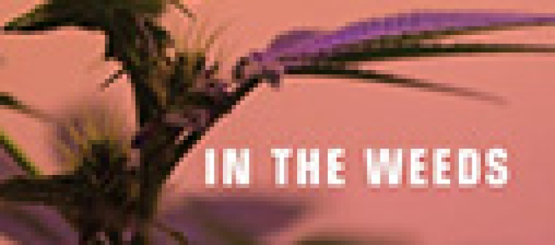 In The Weeds: Demonization, Legalization, And The Evolution Of U.S. Marijuana Policy